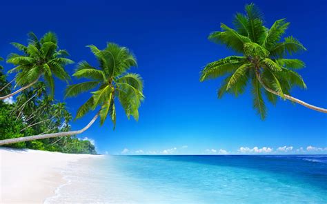 beach images hd|beach background free image.